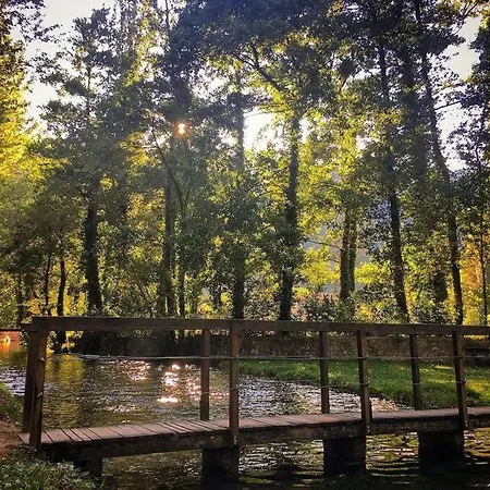 Da Scoprire Scheggino